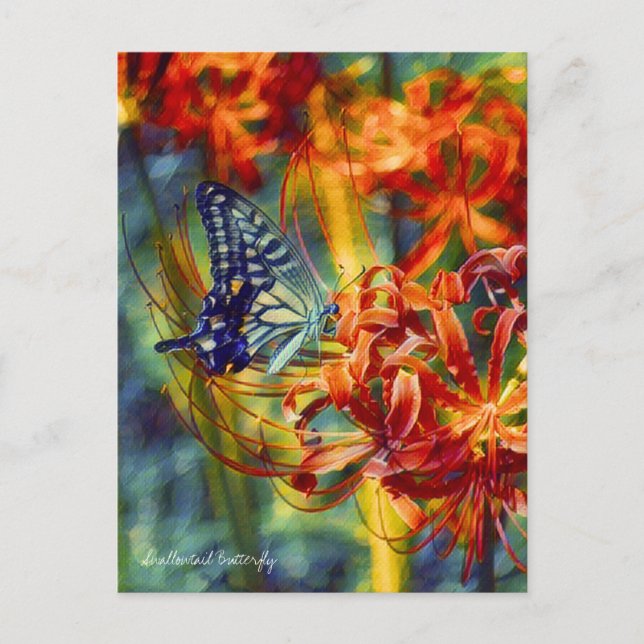Swallowtail Butterfly：Postcard Postkarte (Vorderseite)