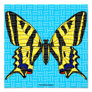Swallowtail - Impression photo