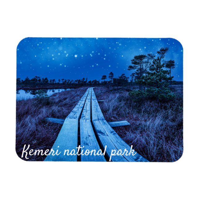 Swamp Night Magnet (Horizontal)