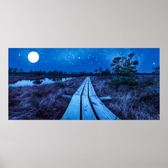 Swamp Night Poster (Vorne)