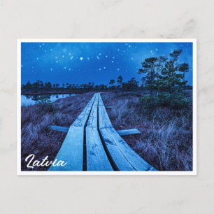 Swamp Night Postkarte