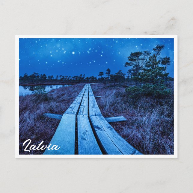 Swamp Night Postkarte (Vorderseite)