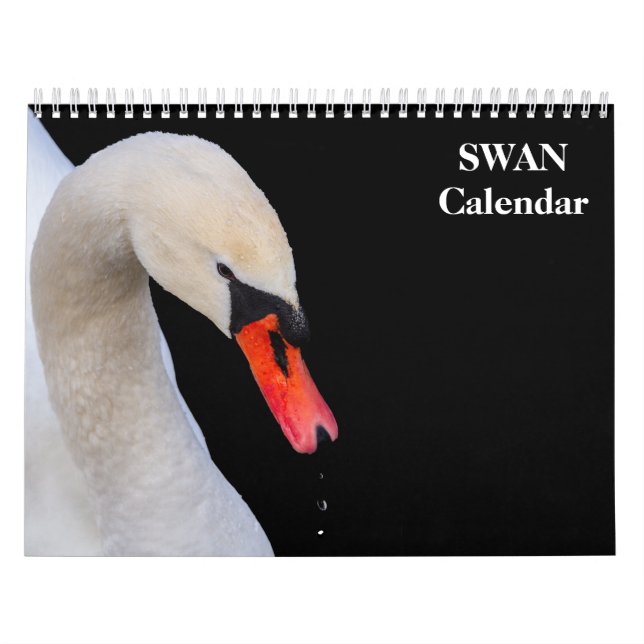 Swan 2025 kalender (Titelbild)