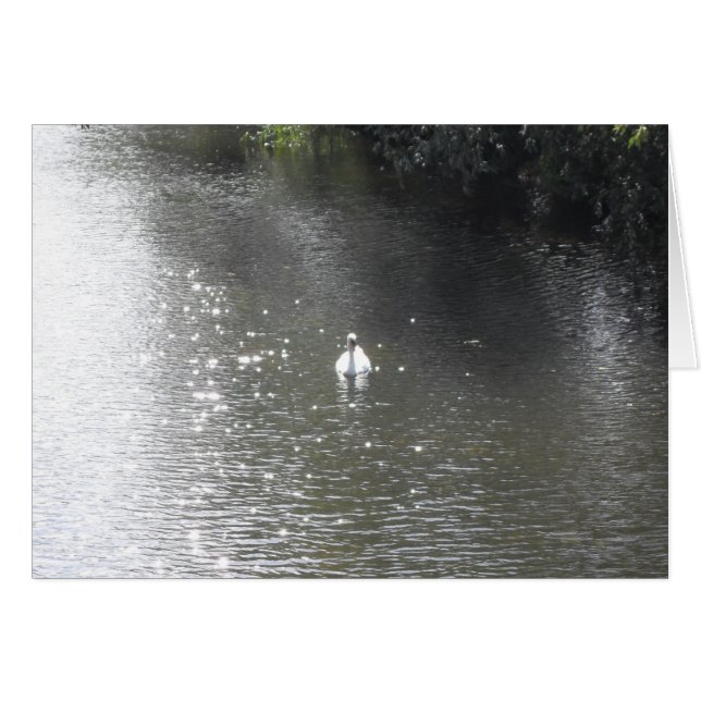 Swan am Fluss (Vorderseite (Horizontal))