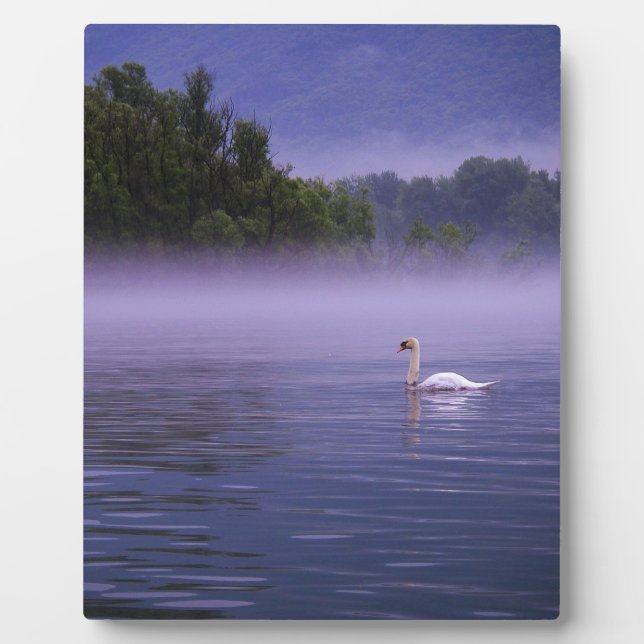 Swan am See Fotoplatte (Vorderseite)