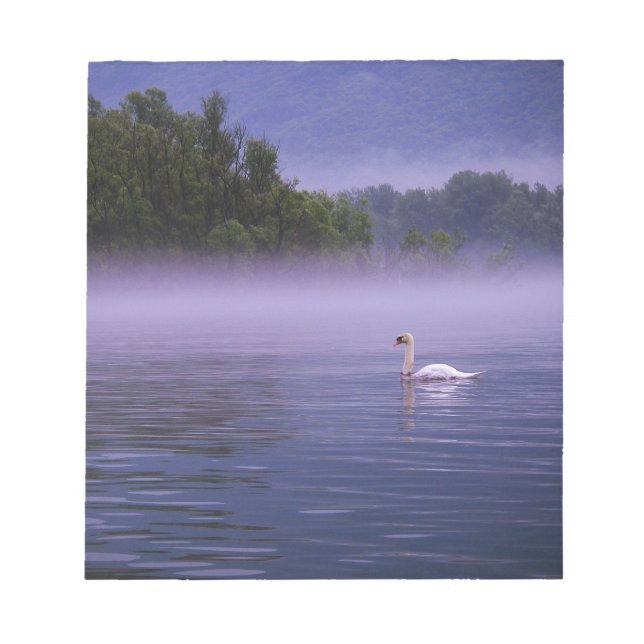 Swan am See Notizblock (Vorderseite)