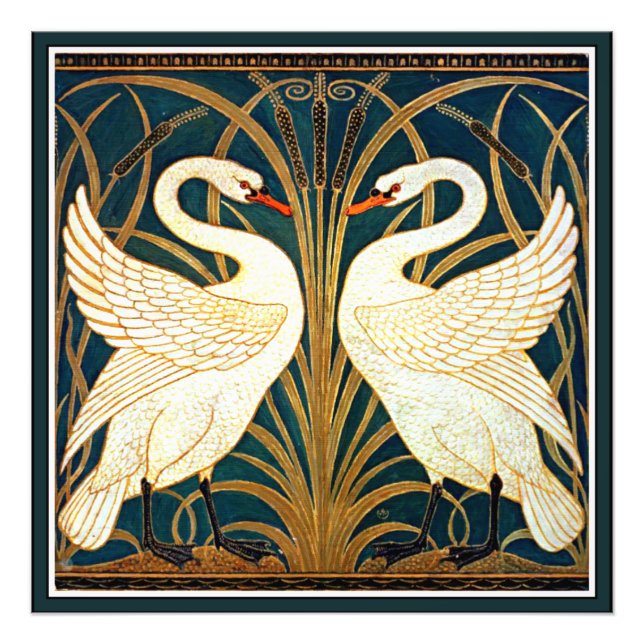 Swan and Rush and Iris Fotodruck (Vorne)