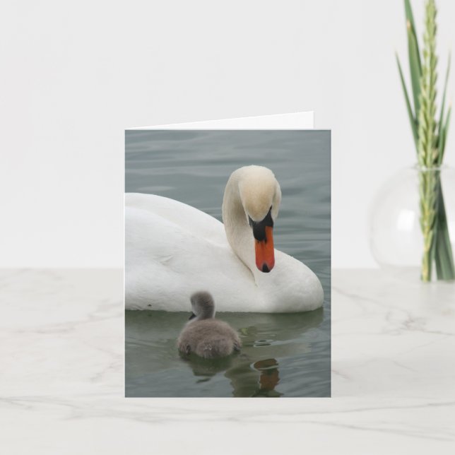 Swan Baby-Ankündigung Einladung (Vorderseite)