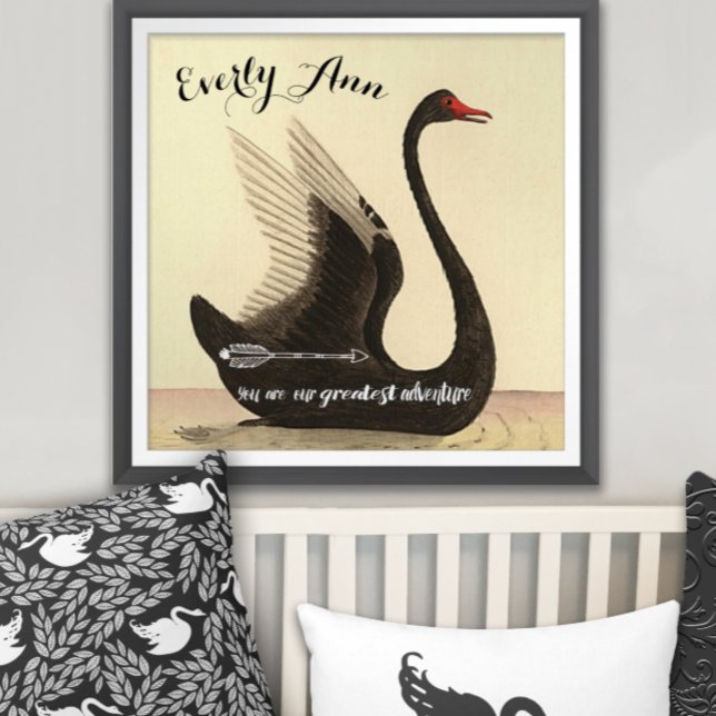 Swan Baby Girl Kinderzimmer Poster (Von Creator hochgeladen)