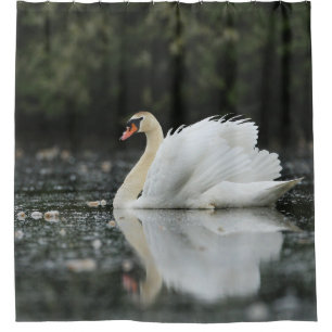Swan Birds Water Blue White Friedlich Wildlife Duschvorhang