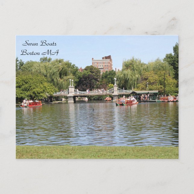 Swan Boats, Boston, MA, Fotografie Postkarte (Vorderseite)
