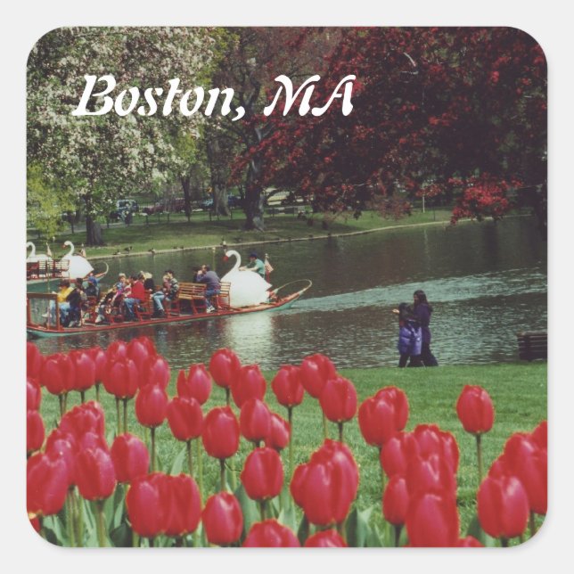 Swan Boats und Red Tulips Quadratischer Aufkleber (Vorderseite)