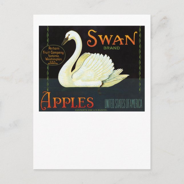Swan Brand Äpfel Postkarte (Vorderseite)