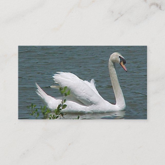 Swan Business Cards Visitenkarte (Vorderseite)