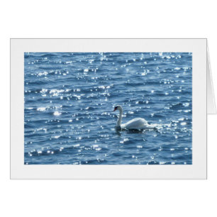 Swan Cardiff Bay, Cardiff, Pays de Galles