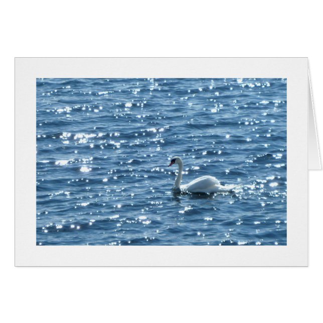 Swan Cardiff Bay, Cardiff, Pays de Galles (Devant horizontal)