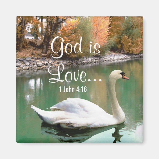 Swan Christian Magnet (Devant)