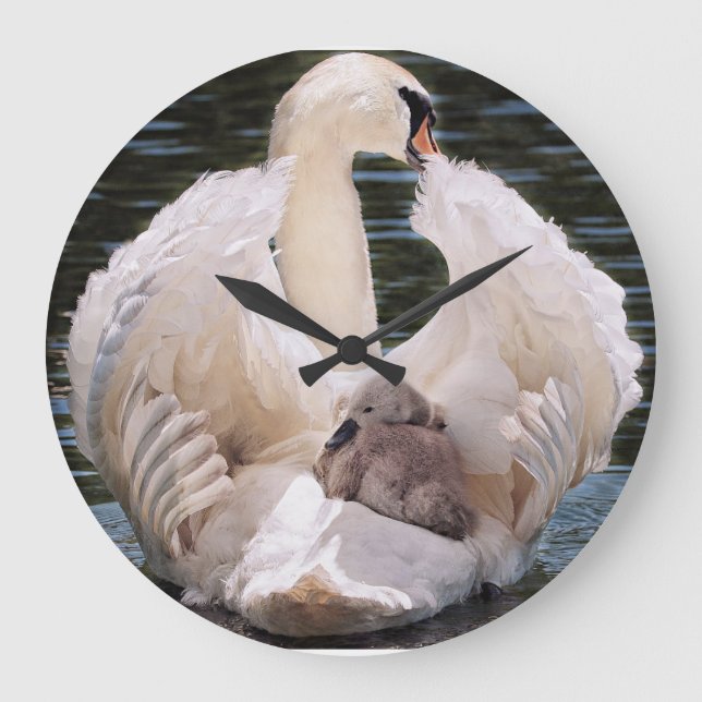 Swan Clock Große Wanduhr (Vorderseite)