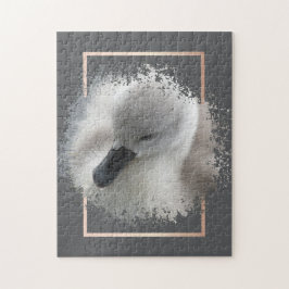Swan Cygnet Abstrakt
