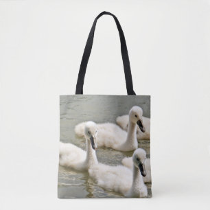 Swan Cygnets Schwimmen Tasche