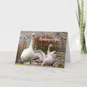 Swan Duck Blank Inside Thinking Your Card Dankeskarte