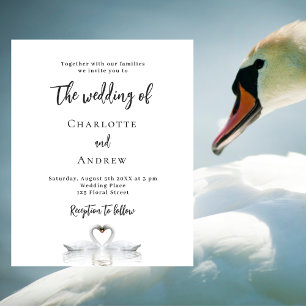 Swan Ehepaar mit weißem Budget Hochzeitseinladung Flyer
