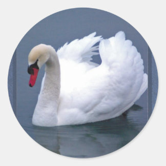 SWAN ELEGANCE RUNDER AUFKLEBER