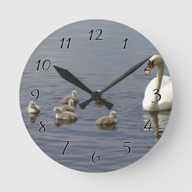 Swan-Familie mit Mama und Entenlein oder Cygnets Runde Wanduhr (Vorderseite)