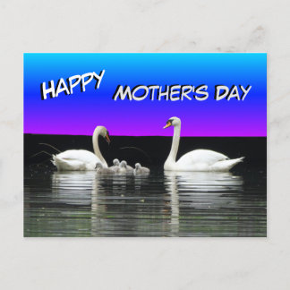 Swan Family Happy Mother Day Postcard Postkarte