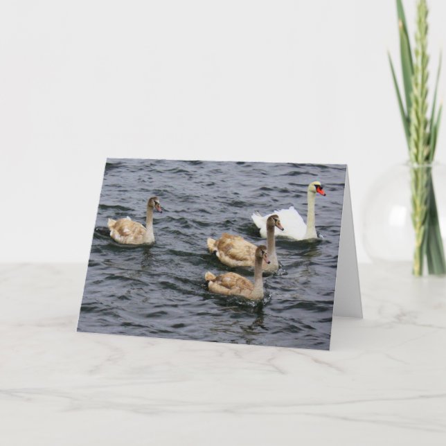 Swan Family Karte (Vorderseite)