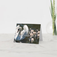 Swan Family Mother's Day