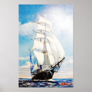 Swan Fan Makkum Poster