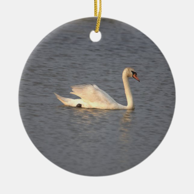 Swan Foto Ornament (Vorne)