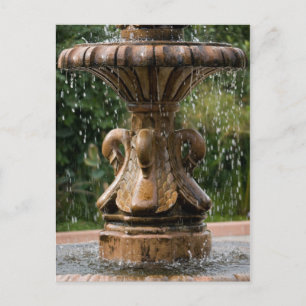 Swan Fountain Postcard Postkarte