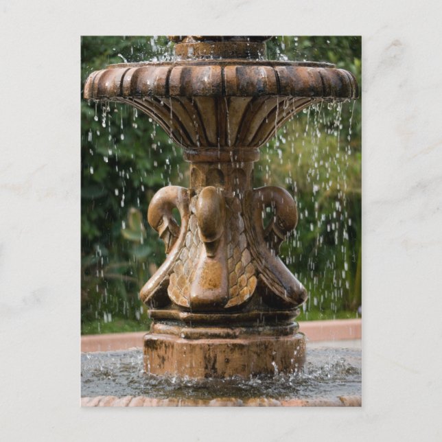 Swan Fountain Postcard Postkarte (Vorderseite)