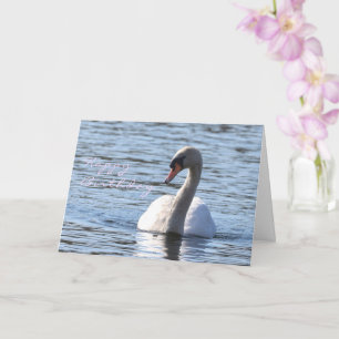 Swan Geburtstag Karte