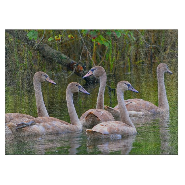 Swan Glass Cutting Board Schneidebrett (Vorderseite)