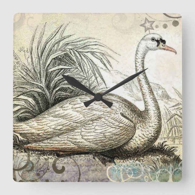 Swan Graphic Quadratische Wanduhr (Vorderseite)