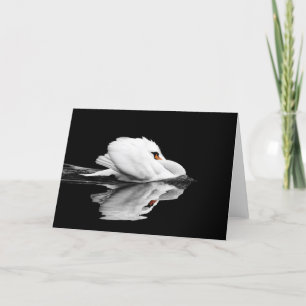 Swan greeting card karte