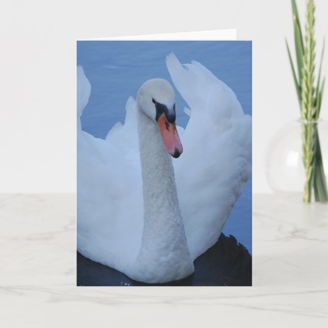 Swan Greeting Card Karte (Vorderseite)