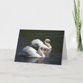 Swan Greetings Card Karte