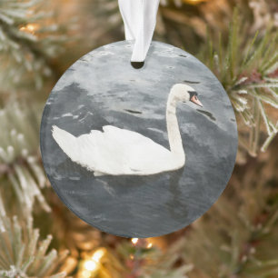 Swan impressionniste
