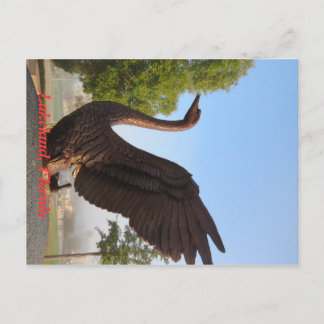 Swan in Flight Lakeland, Florida Postkarte