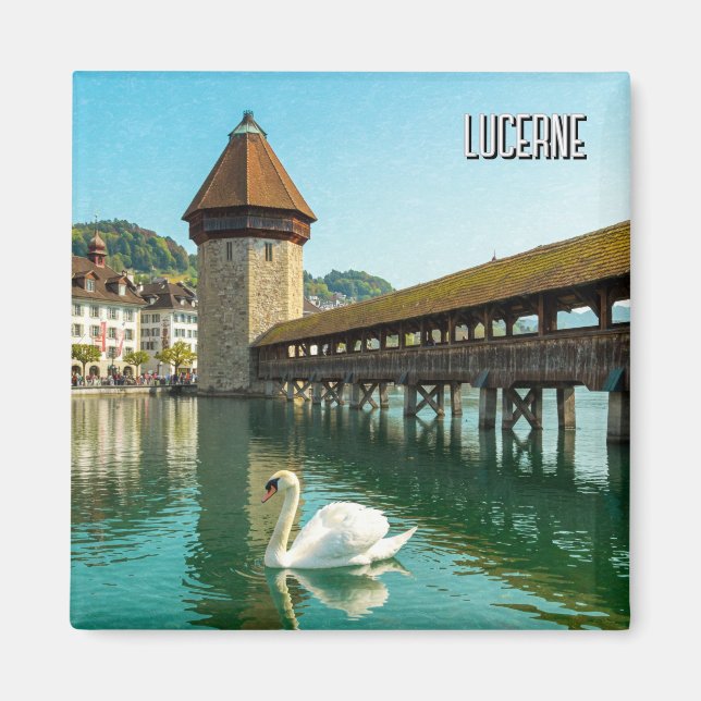 Swan in Luzern Schweiz Reise Magnet (Vorne)