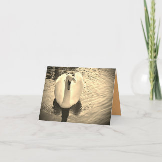 Swan in Sepia Card Dankeskarte