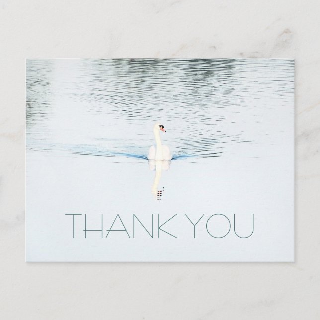 Swan in Water Minimalistisch Danke Postcard Postkarte (Vorderseite)
