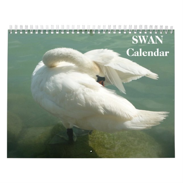 Swan-Kalender 2023 Kalender (Titelbild)