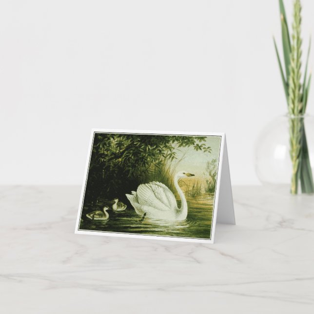 Swan-Karte anpassen Karte (Vorderseite)