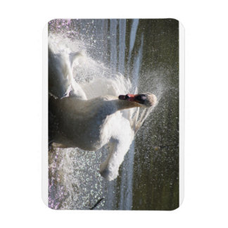 Swan Kühlschrankmagnet Magnet