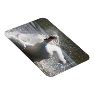 Swan Kühlschrankmagnet Magnet